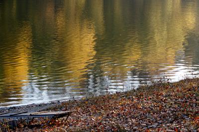 Õszi tájképek a Hárosi-öbölben.2021.11.11.Fotó:Vörös Szilárd-stock-foto