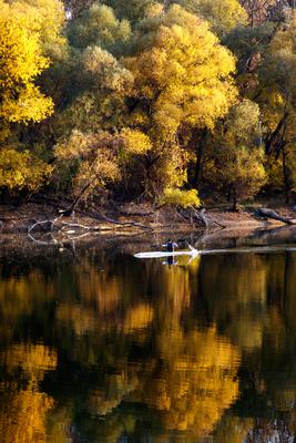 Õszi tájképek a Hárosi-öbölben.2021.11.11.Fotó:Vörös Szilárd-stock-foto