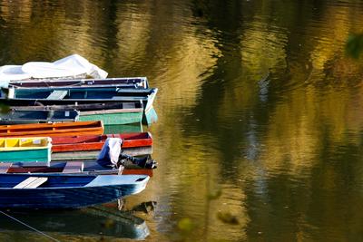 Õszi tájképek a Hárosi-öbölben.2021.11.11.Fotó:Vörös Szilárd-stock-foto