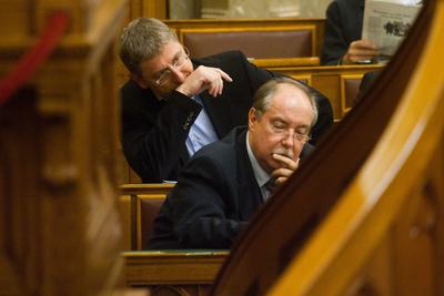 Budapest, 2010.11.30.
Az Országgyűlés 54. ülésnapja.

A képen: Gyurcsány Ferenc (hátul) és Kiss Péter-stock-foto