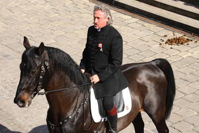 Március 15.-i megemlékezés a Múzeum kertben-stock-foto