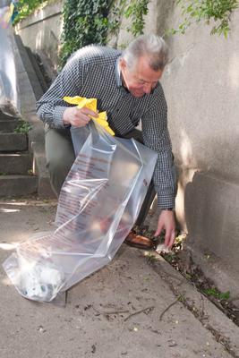 TeSzedd! akció Budapesten-stock-foto