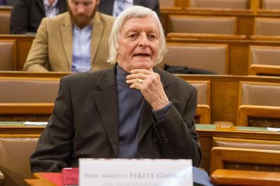 Konferencia a Parlamentben-stock-foto