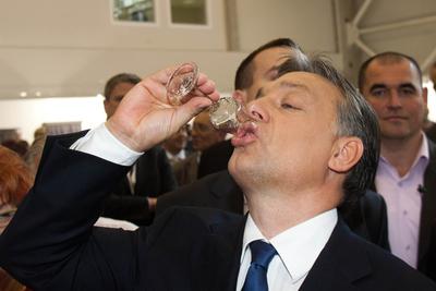 OMÉK 2011 megnyitó-stock-foto