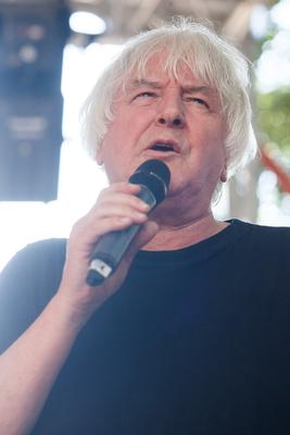 Pozsonyi Piknik 2013-stock-foto