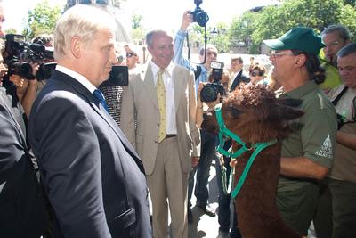 145. születésnapját ünnepelte az Állatkert-stock-foto