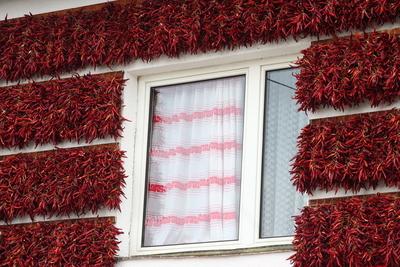 Paprikaház Tihanyban-stock-foto