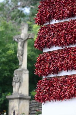 Paprikaház Tihanyban-stock-foto