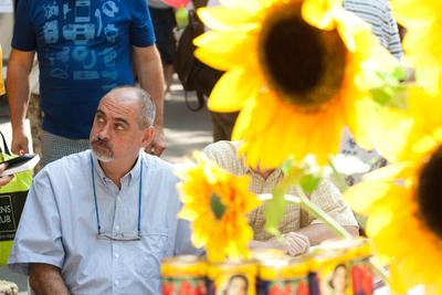 Pozsonyi Piknik-stock-foto