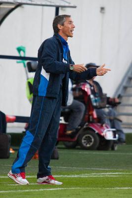 Videoton - Székesfehérvár labdarugó mérkőzés-stock-photo