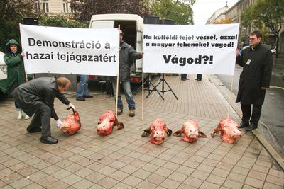 Tejtermelők demonstrációja-stock-foto