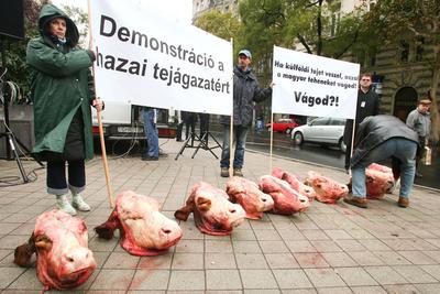Tejtermelők demonstrációja-stock-foto