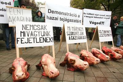 Tejtermelők demonstrációja-stock-foto