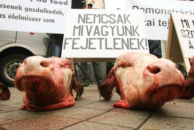 Tejtermelők demonstrációja-stock-foto