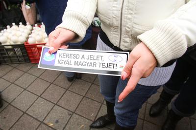 Tejtermelők demonstrációja-stock-foto