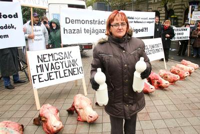 Tejtermelők demonstrációja-stock-foto
