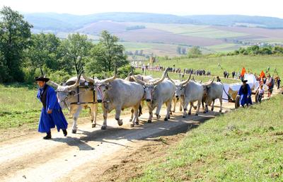 Felállították a palócok keresztjét Herencsényben-stock-foto