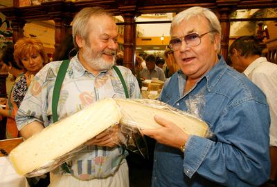 Sajtok enciklopédiája-stock-foto