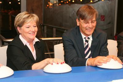 Díszkivilágítást kapott az Erzsébet híd-stock-foto