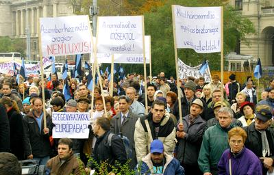 Parlament elé vonultak a z idősek és fogyatékosok-stock-foto