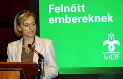 Együttműködési megállapodást kötött az MDF és a Tisztelet Társasága-stock-foto