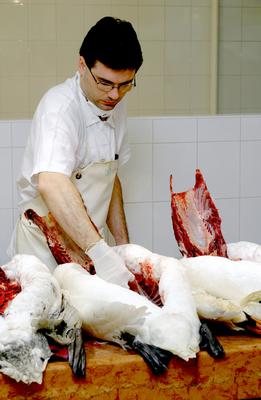 Gyurcsány Ferenc az Állategészségügyi Intézetben-stock-foto