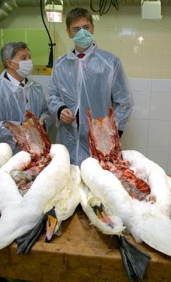 Gyurcsány Ferenc az Állategészségügyi Intézetben-stock-foto