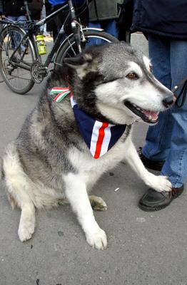 Március 15-i megemlékezés-stock-foto