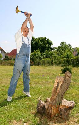 Nagy Feró-stock-foto