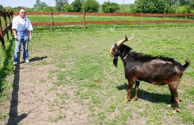 Nagy Feró-stock-foto