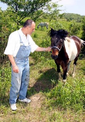 Nagy Feró-stock-foto