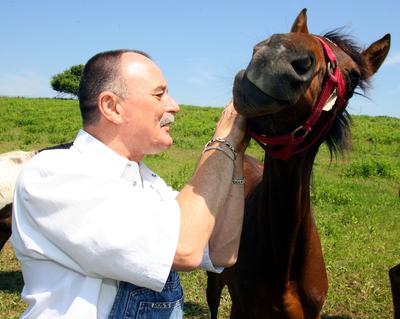 Nagy Feró-stock-foto