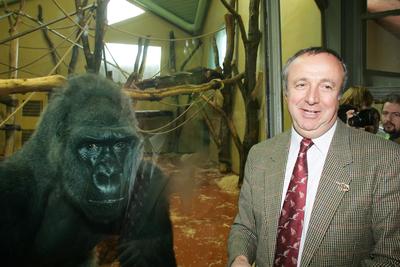 Felavatták a Környezetvédelem Nagyköveteit-stock-foto