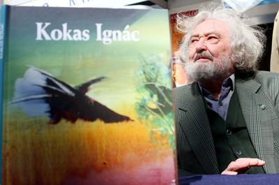 77. ünnepi könyvhét Budapesten-stock-foto