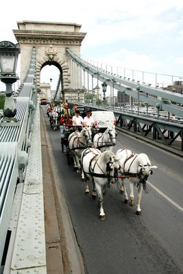 Magyarok Nagy Asztala gasztronómiai fesztivál-stock-foto
