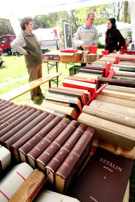 Tömegek a városligeti majálison-stock-foto