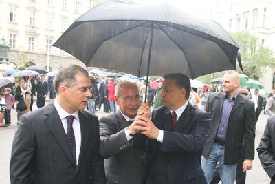 Megemlékezés a Batthyány örökmécsesnél-stock-foto