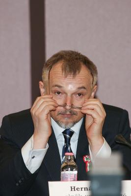 Magyar vállalkozók fogtak össze Overdose érdekében-stock-foto