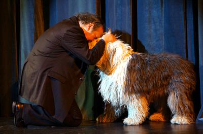 Művészek az állatokért a Tháliában-stock-foto