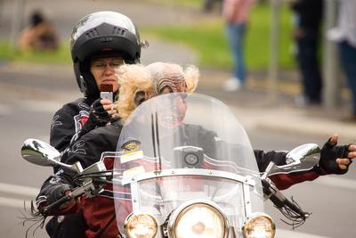 Harley Davidson motoros találkozó-stock-foto