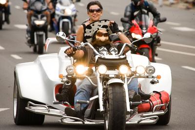 Harley Davidson motoros találkozó-stock-foto