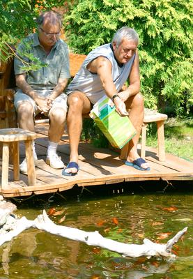 A Tanár Úr birtokán a Heti Hetes-stock-foto