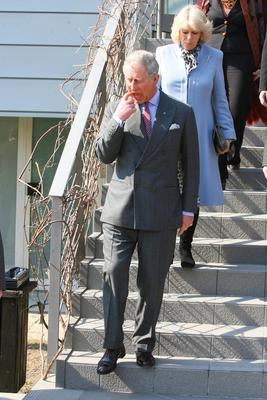 Károly herceg és Camilla Szentendrén-stock-foto