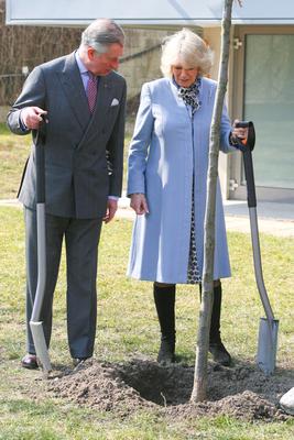 Károly herceg és Camilla Szentendrén-stock-foto