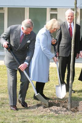 Károly herceg és Camilla Szentendrén-stock-foto