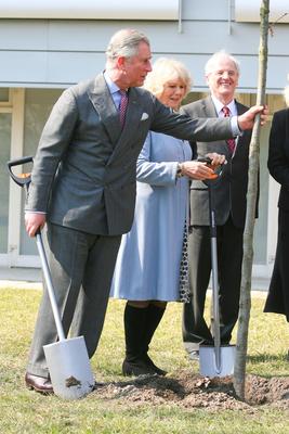 Károly herceg és Camilla Szentendrén-stock-foto