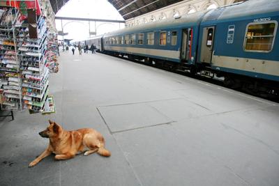 Vasutassztrájk-stock-foto
