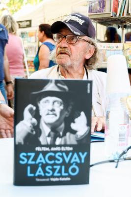 Pozsonyi Piknik. A k?pen Szacsvay L?szl?.2025.09.06.Fot?:V?r?s Szil?rd-stock-foto