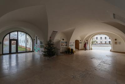 N?dasdy-v?r S?rv?ron.2026.01.02.Fot?:V?r?s Szil?rd-stock-foto