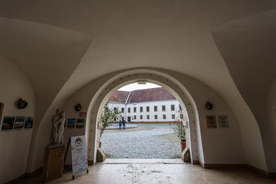 N?dasdy-v?r S?rv?ron.2026.01.02.Fot?:V?r?s Szil?rd-stock-foto